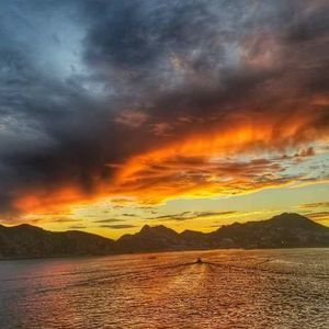 Meet your Posher, Selena